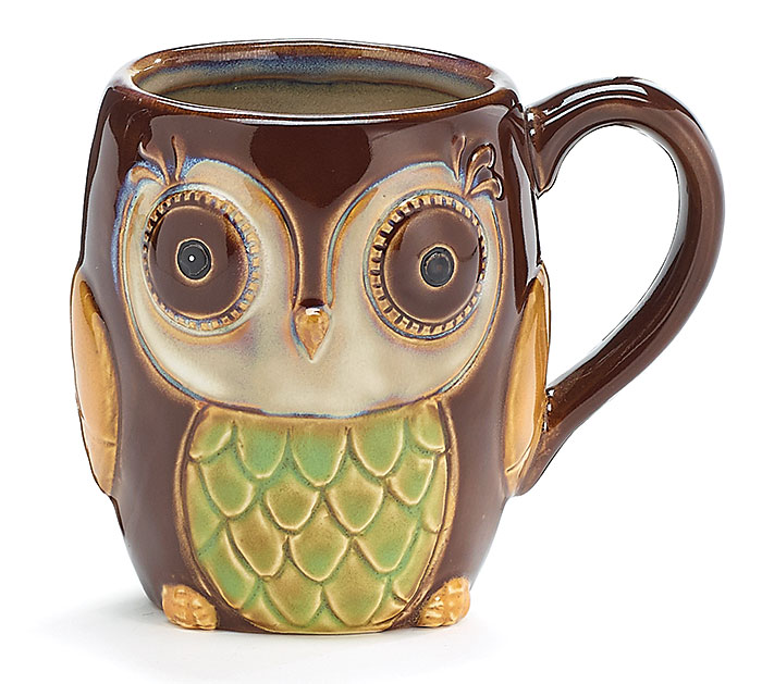 Sleepy Owl Mug